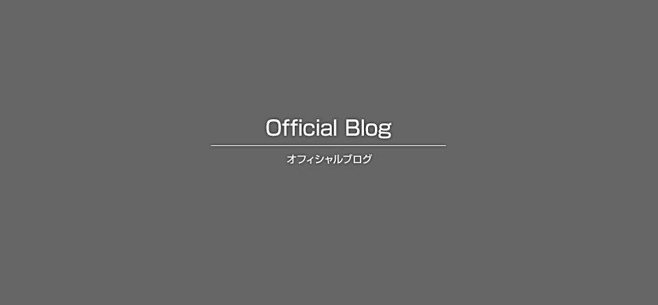 トイレ交換工事・クッションフロア貼り替え工事(大阪府富田林市A様邸)